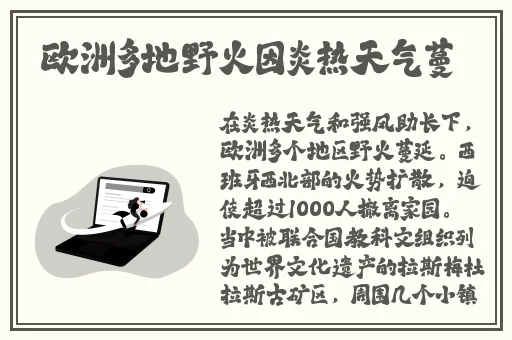 美国人剧烈打扑克运动